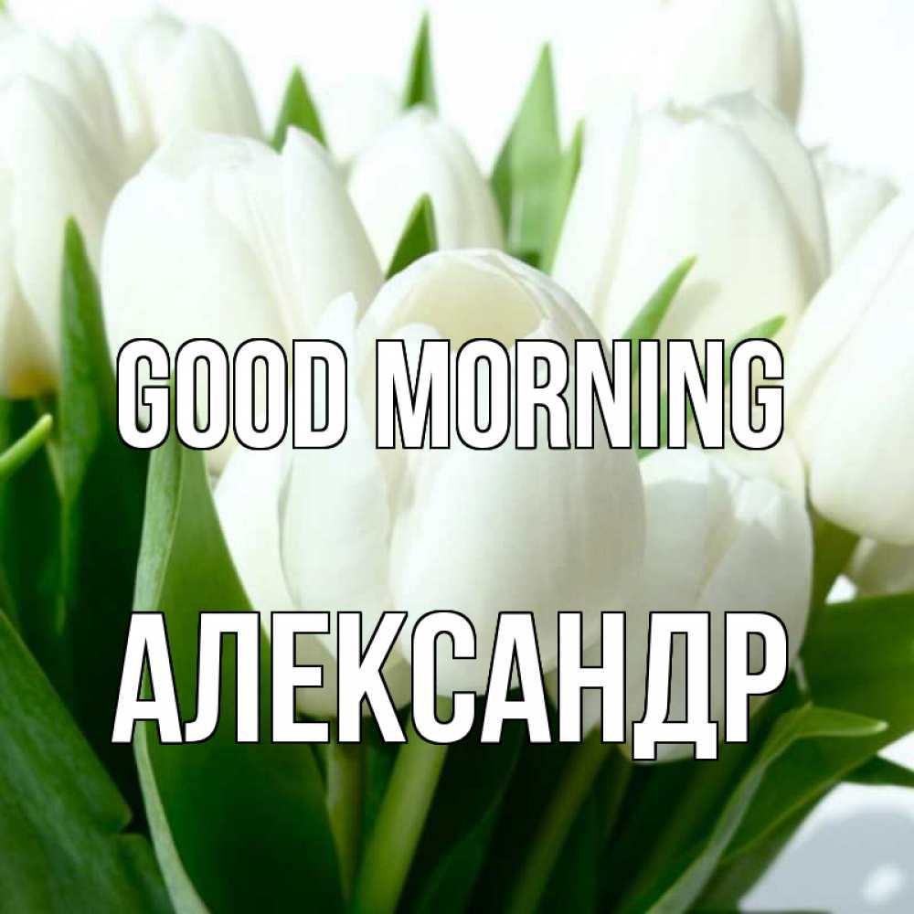 Greetings card с именем, Александр Good morning открытки на каждый день по именам Greetings with text for free download 