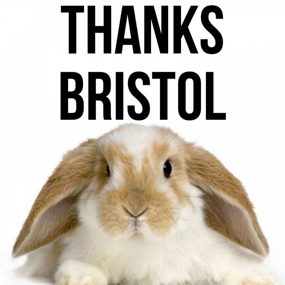 Greetings card с именем, Bristol Thanks коричнево белый заяц Greetings with text for free download 