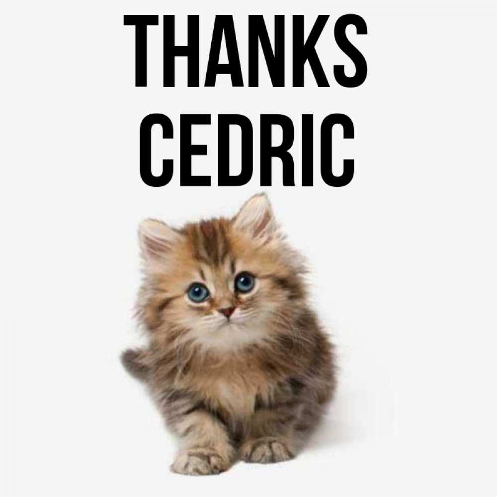 Greetings card с именем, Cedric Thanks пушистый котик Greetings with text for free download 