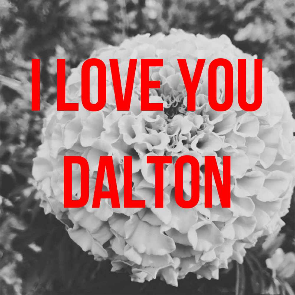 Greetings card с именем, Dalton I love you подпись Greetings with text for free download 