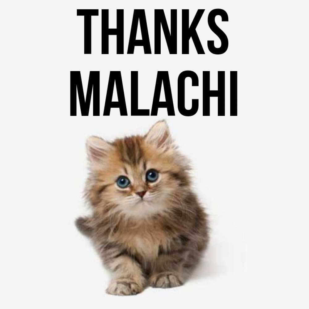 Greetings card с именем, Malachi Thanks пушистый котик Greetings with text for free download 