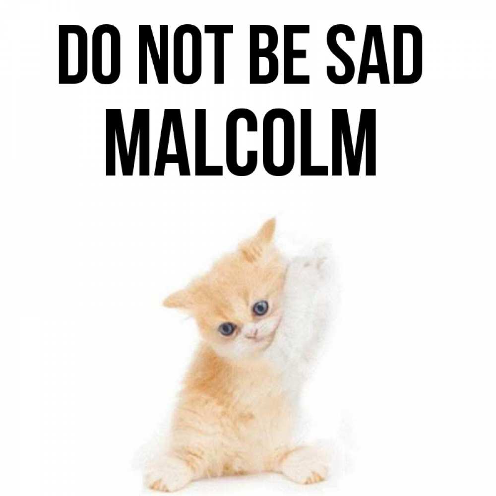 Greetings card с именем, Malcolm Do not be sad просящий кот Greetings with text for free download 