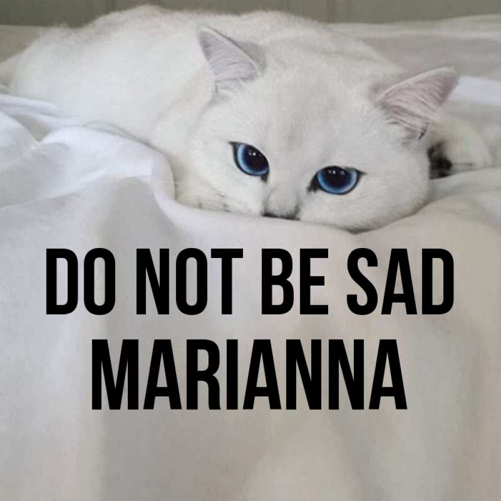 Greetings card с именем, Marianna Do not be sad Голубоглазая кошка Greetings with text for free download 