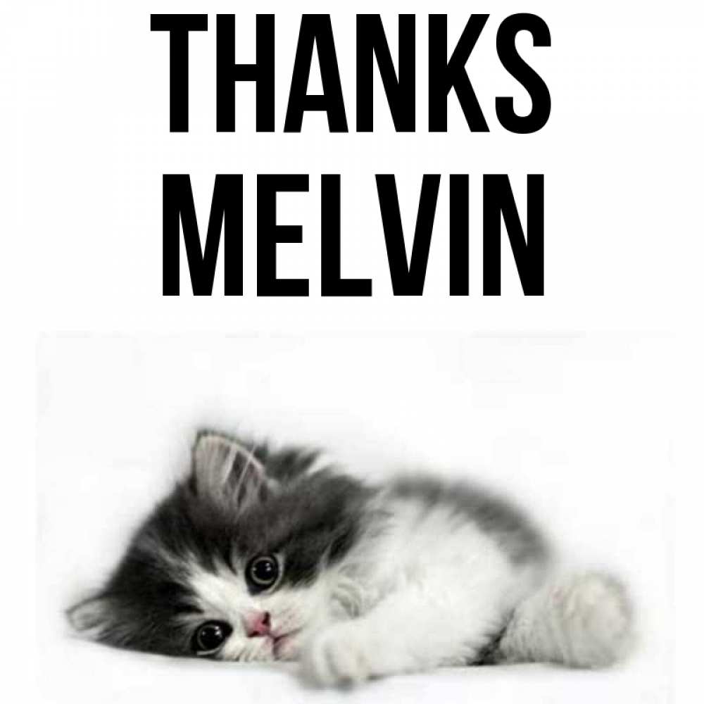 Greetings card с именем, Melvin Thanks черный и белый кот Greetings with text for free download 