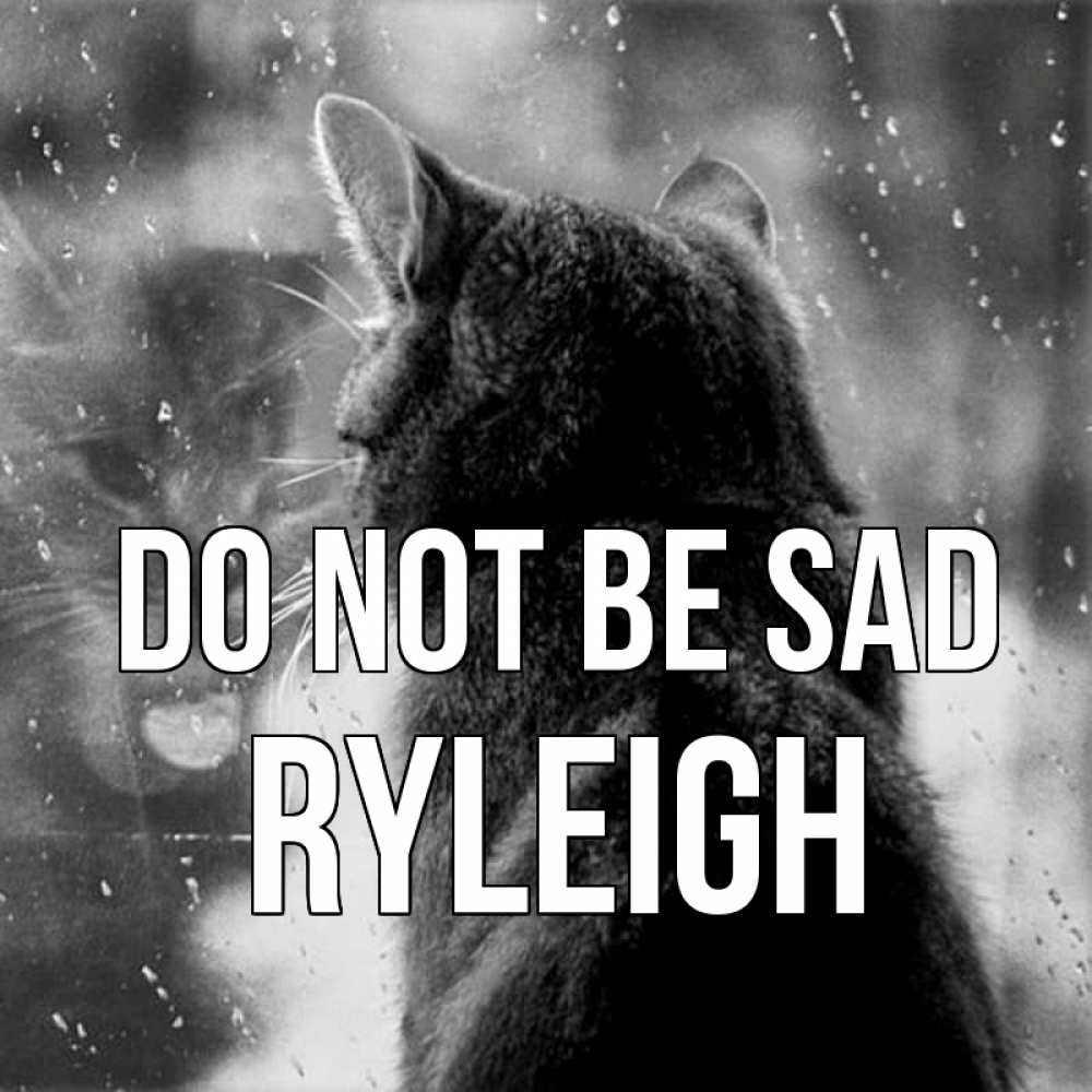 Greetings card с именем, Ryleigh Do not be sad отражение кота 1 Greetings with text for free download 