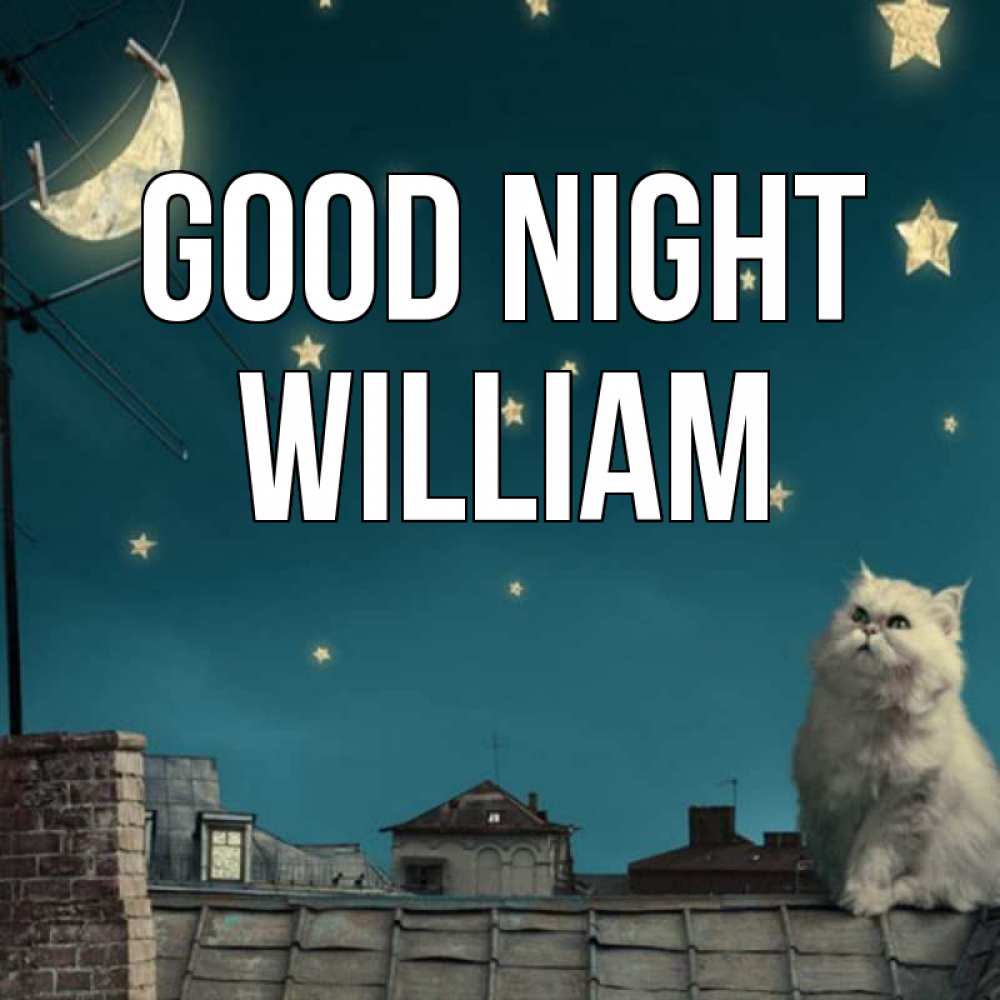 Greetings card с именем, William Good night белый кот сидит на крыше Greetings with text for free download 