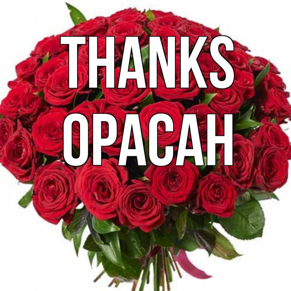 Greetings card с именем, ОРАСАН Thanks букет красных роз Greetings with text for free download 