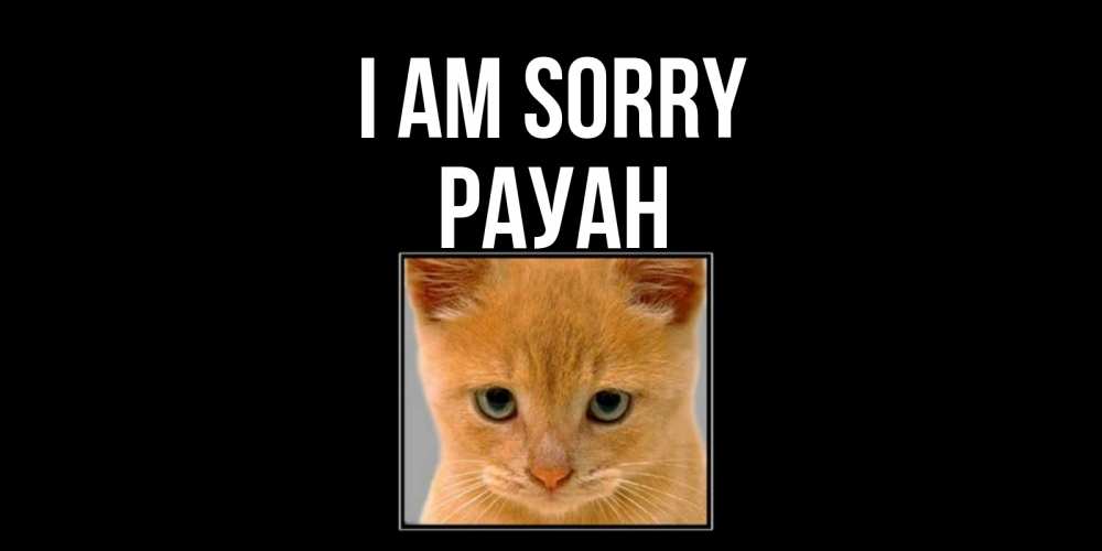 Greetings card с именем, РАУАН I am sorry рыжий грустный кот просит прощения Greetings with text for free download 