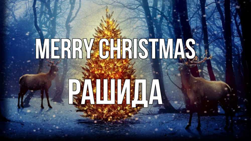 Greetings card с именем, РАШИДА Merry Christmas олени, новогодняя елка Greetings with text for free download 