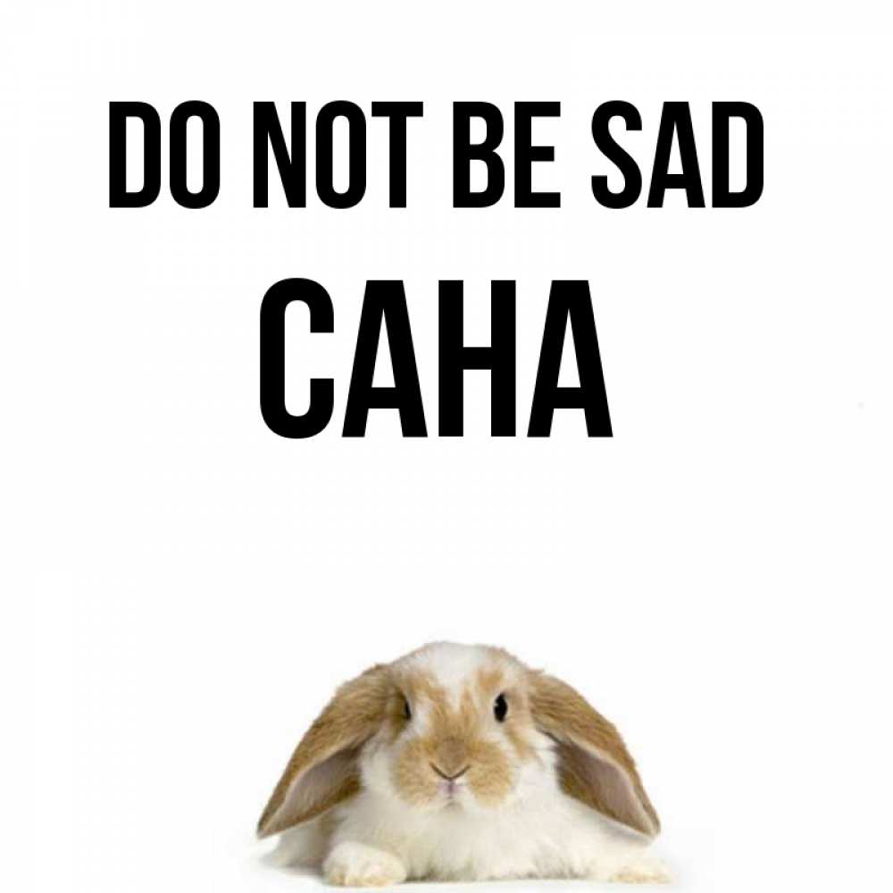 Greetings card с именем, САНА Do not be sad коричнево белый заяц с большими ушками Greetings with text for free download 
