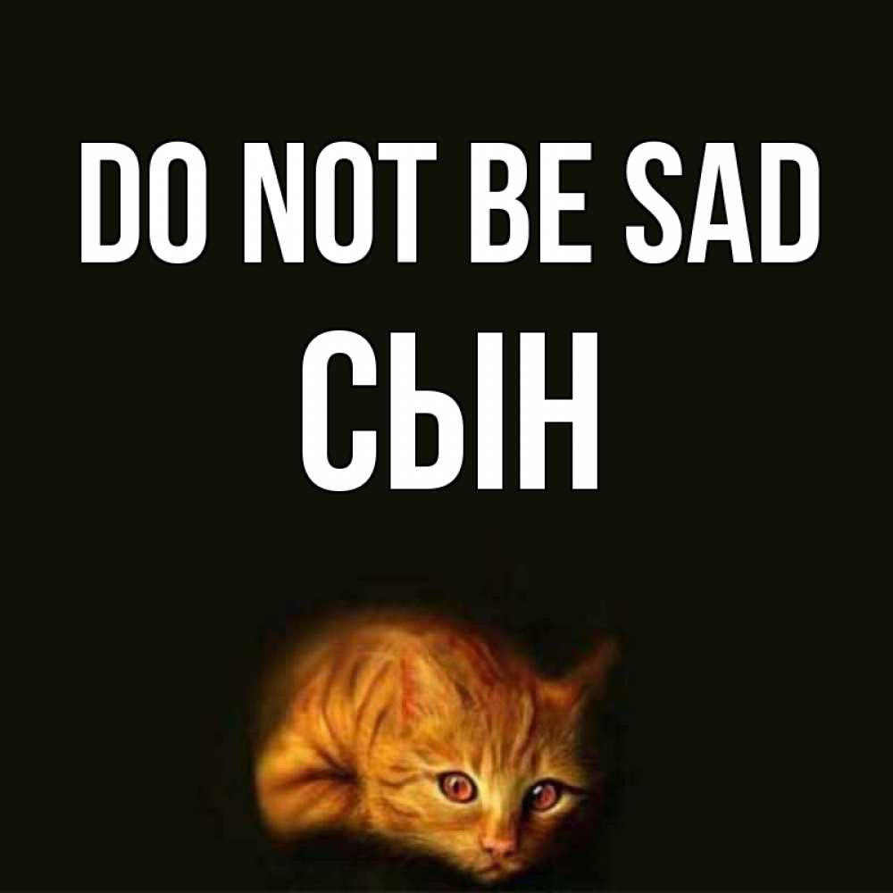 Greetings card с именем, Сын Do not be sad лежащий кот в темноте Greetings with text for free download 