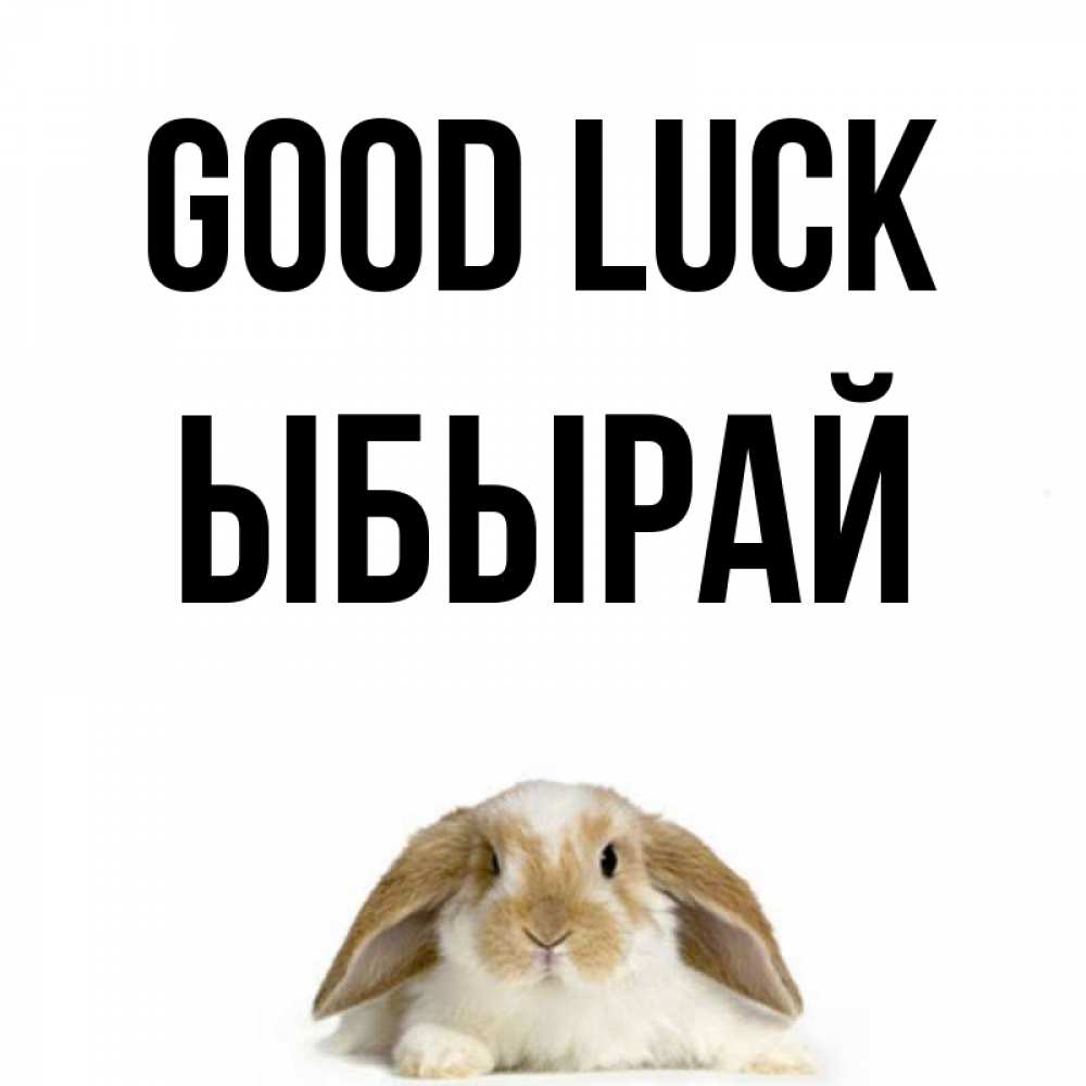 Greetings card с именем, ЫБЫРАЙ Good luck открытки с произвольным текстом который можно вставить в открытку и создать ее самостоятельно бесплатно онлайн Greetings with text for free download 
