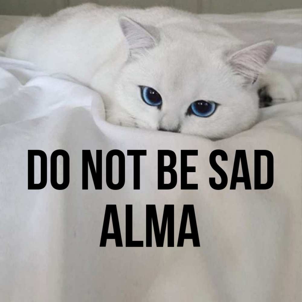 Greetings card с именем, Alma Do not be sad Голубоглазая кошка Greetings with text for free download 