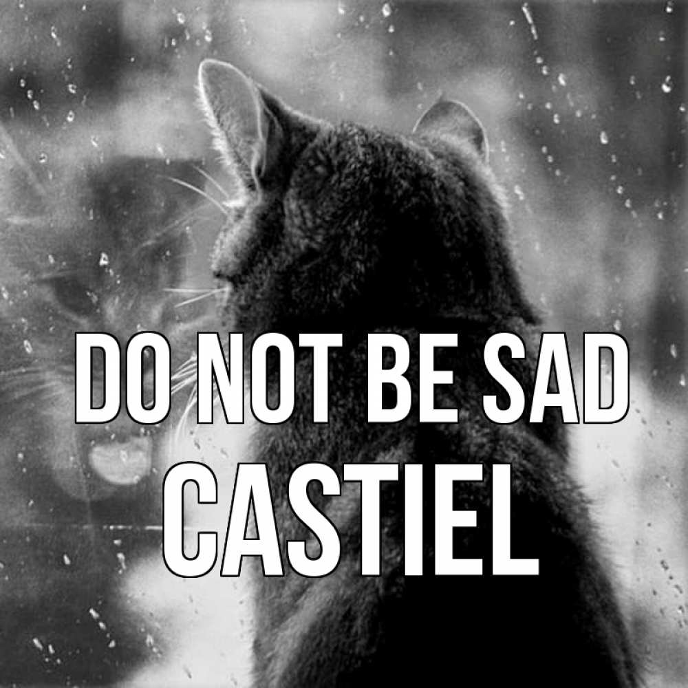 Greetings card с именем, Castiel Do not be sad отражение кота 1 Greetings with text for free download 