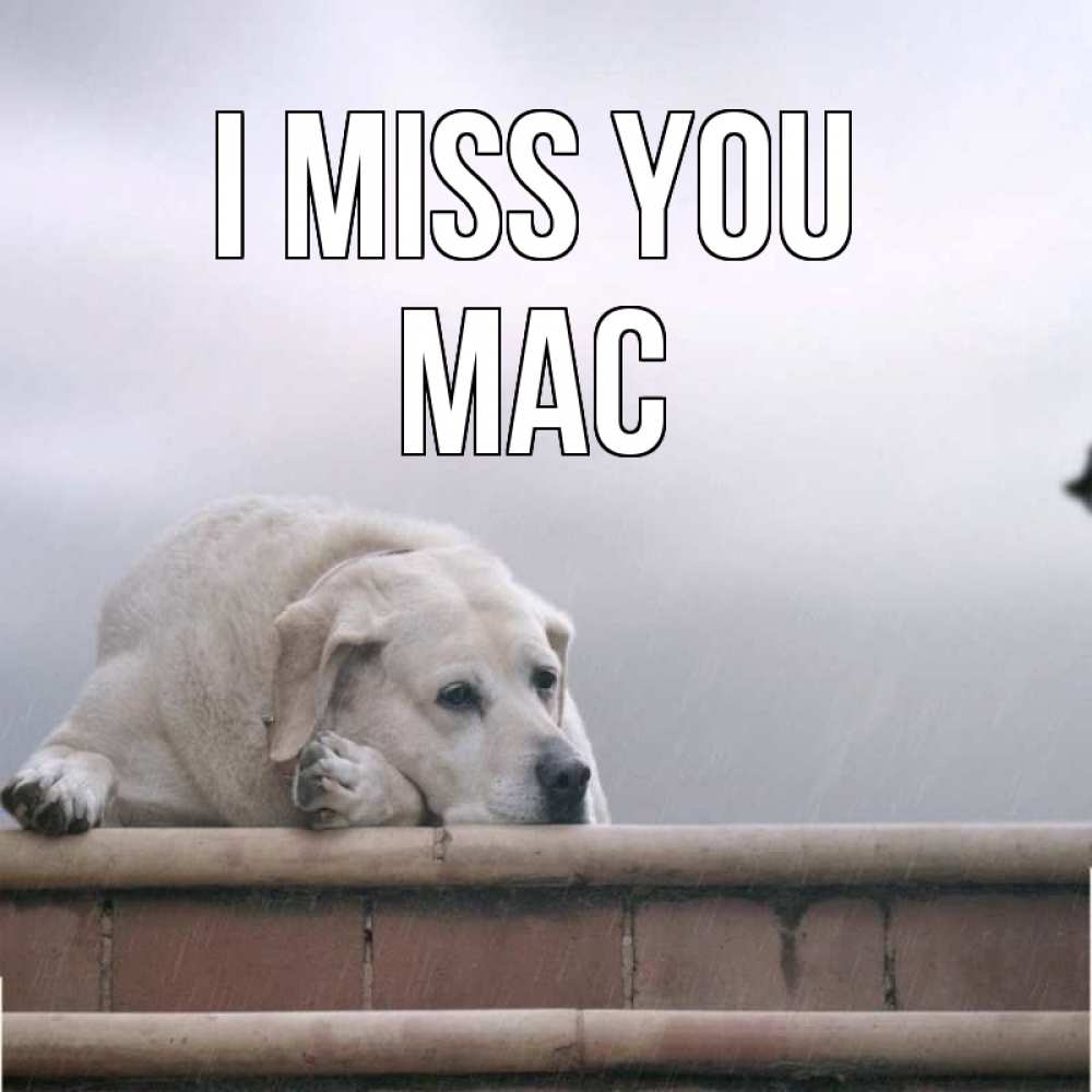 Greetings card с именем, Mac I miss you ждет Greetings with text for free download 