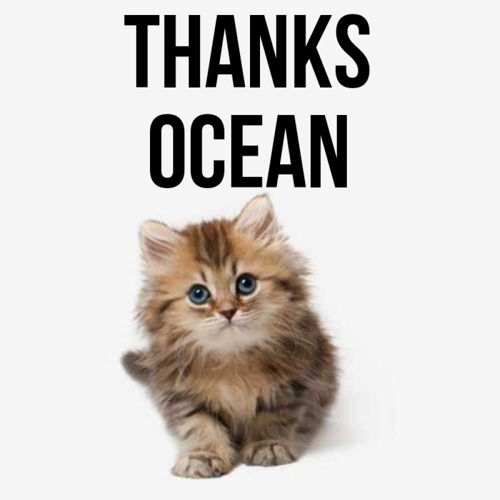 Greetings card с именем, Ocean Thanks пушистый котик Greetings with text for free download 
