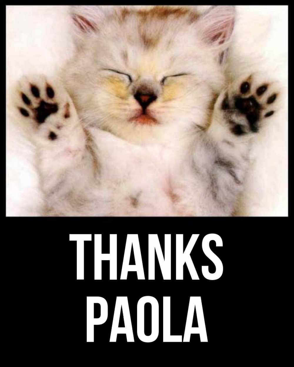 Greetings card с именем, Paola Thanks маленький котенок Greetings with text for free download 