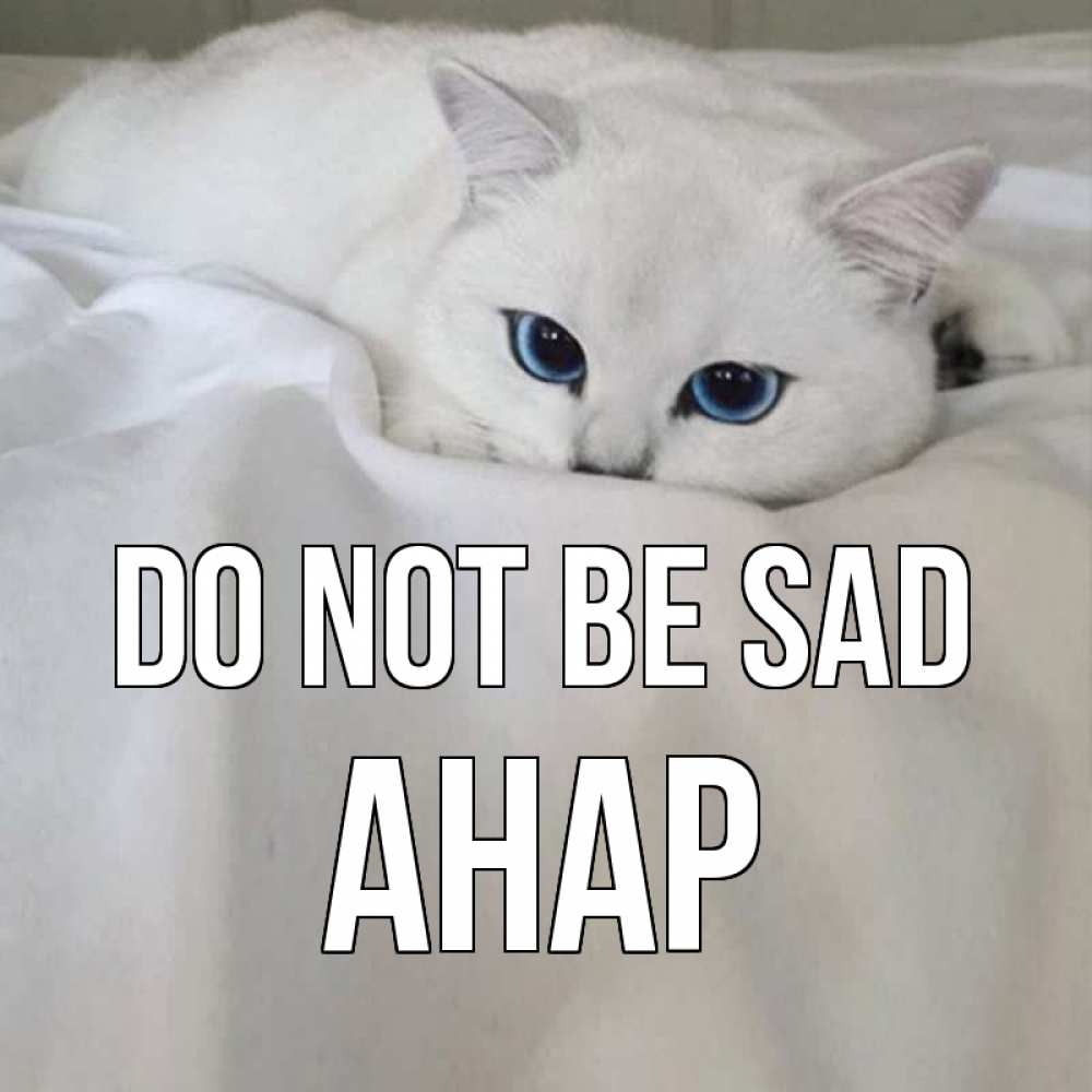 Greetings card с именем, АНАР Do not be sad белый кот с голубыми глазами на белоснежной кровати Greetings with text for free download 
