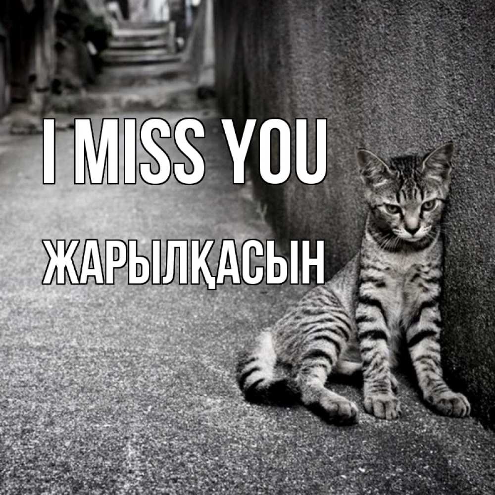 Greetings card с именем, Жарылқасын I miss you одиноко котику Greetings with text for free download 