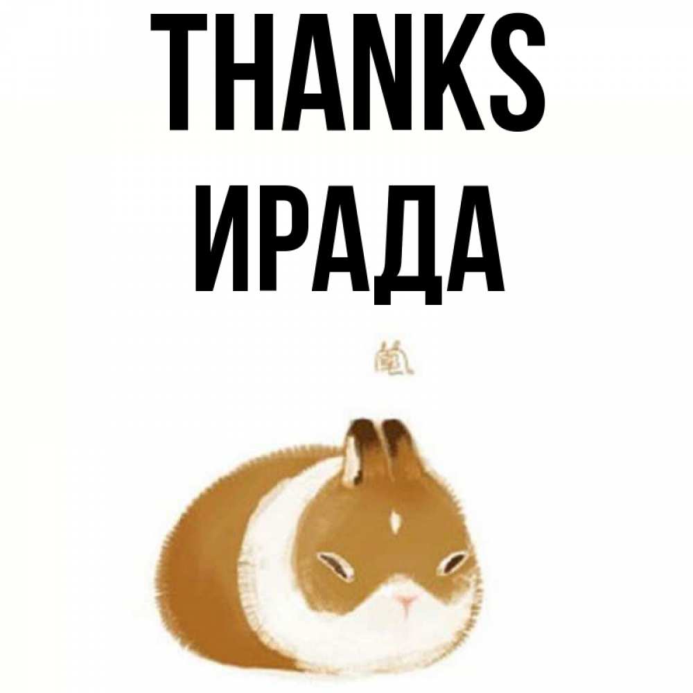 Greetings card с именем, ИРАДА Thanks коричнево белый домашний питомец Greetings with text for free download 