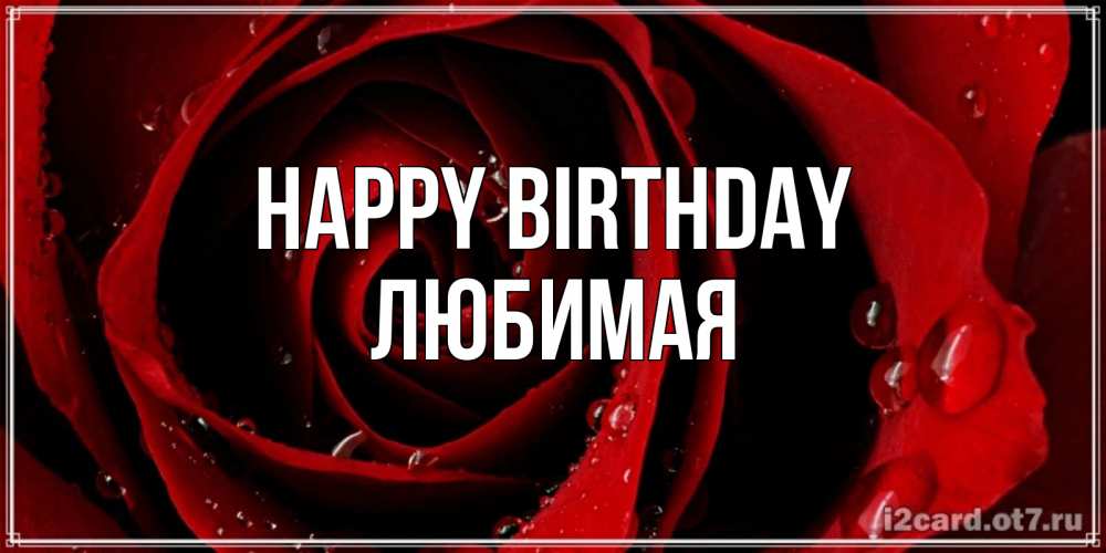 Greetings card с именем, Любимая Happy Birthday крупная бордовая роза Greetings with text for free download 