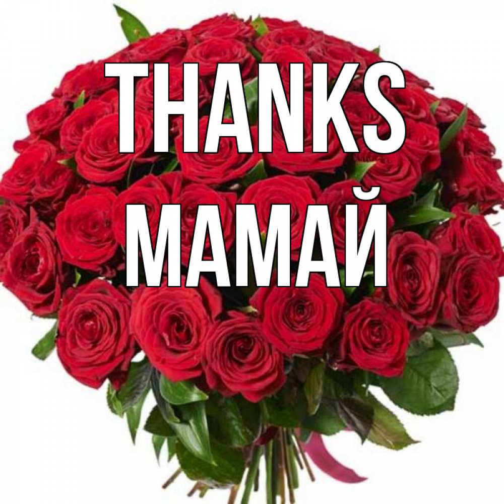 Greetings card с именем, Мамай Thanks букет красных роз Greetings with text for free download 