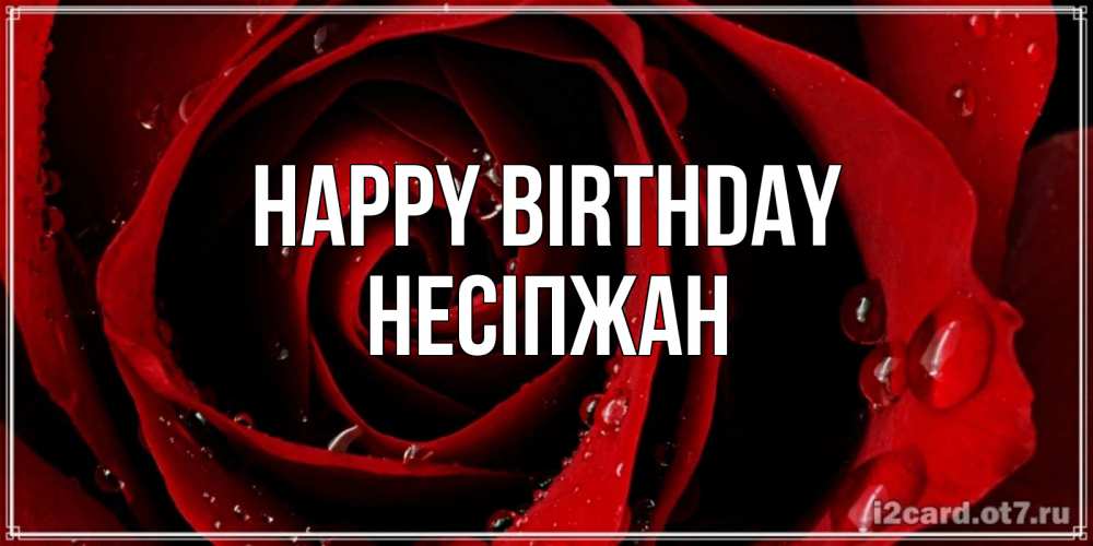 Greetings card с именем, НЕСІПЖАН Happy Birthday крупная бордовая роза Greetings with text for free download 