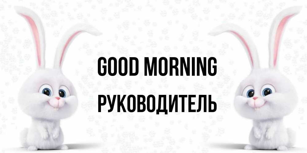Greetings card с именем, Руководитель Good morning кролики с длинными ушками Greetings with text for free download 