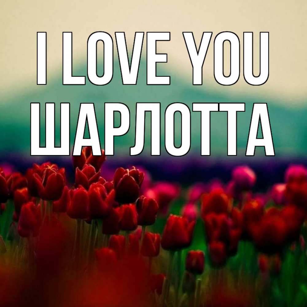 Greetings card с именем, Шарлотта I love you тюльпаны 4 Greetings with text for free download 