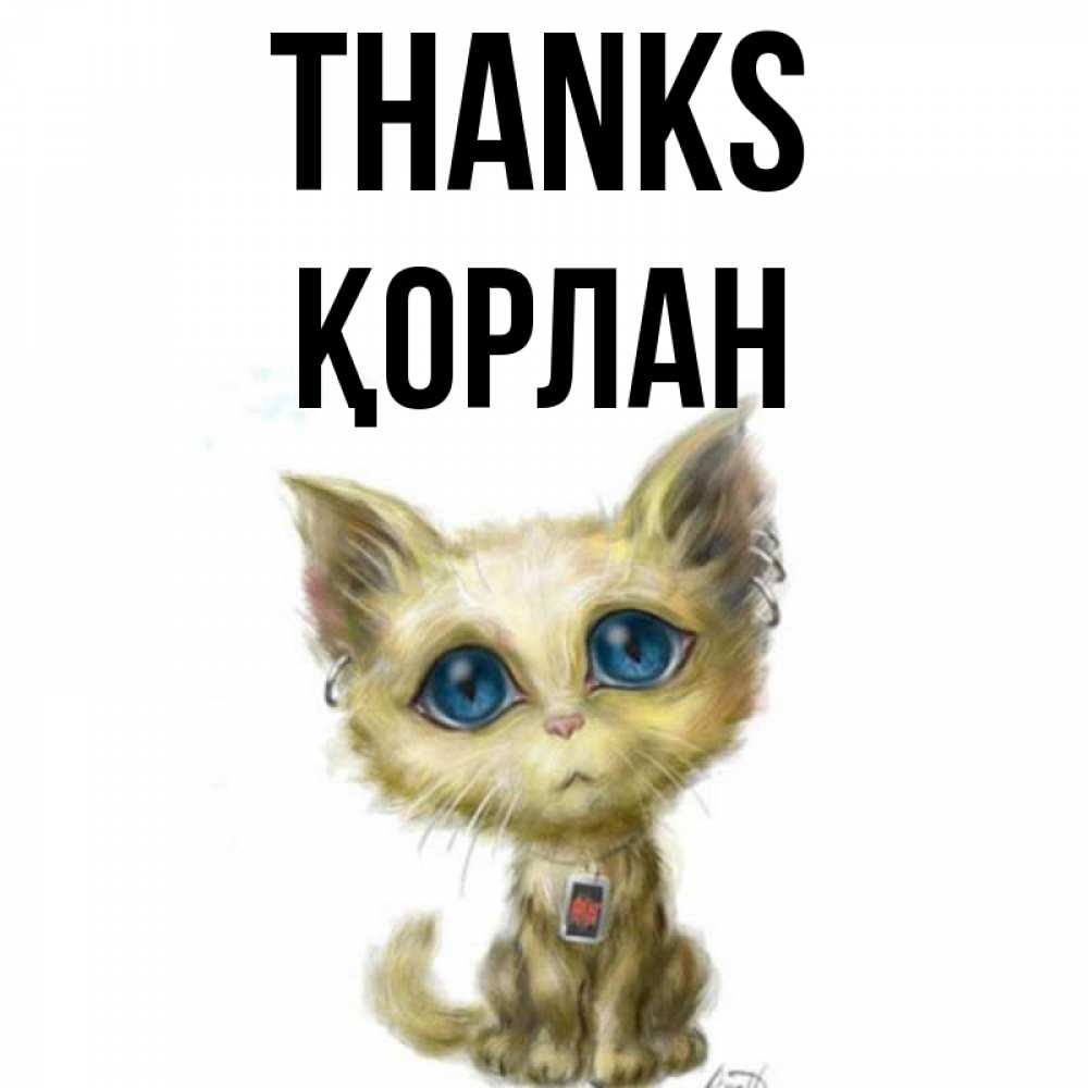 Greetings card с именем, ҚОРЛАН Thanks рисованный кот благодарит вас Greetings with text for free download 