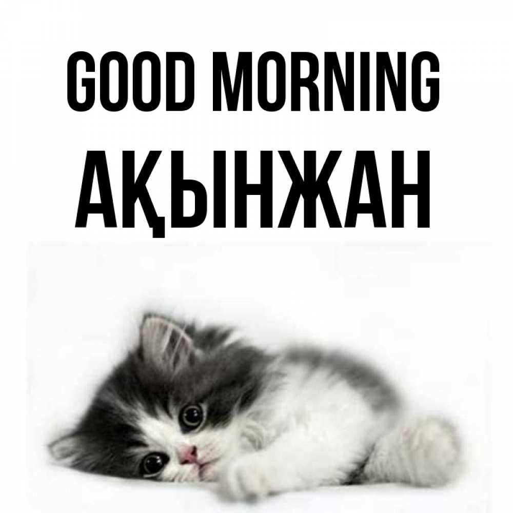 Greetings card с именем, Ақынжан Good morning кот лапки Greetings with text for free download 