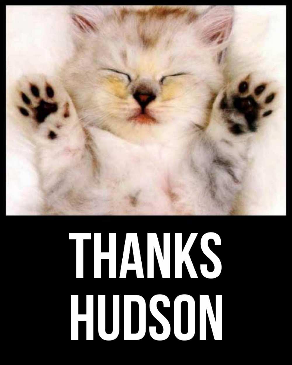 Greetings card с именем, Hudson Thanks маленький котенок Greetings with text for free download 