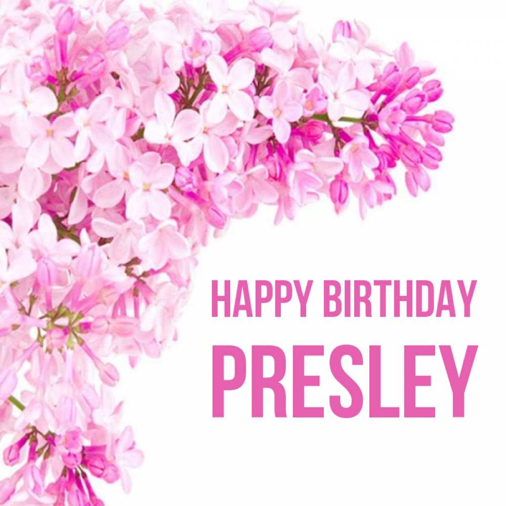 Greetings card с именем, Presley Happy Birthday Сирень на белом фоне Greetings with text for free download 