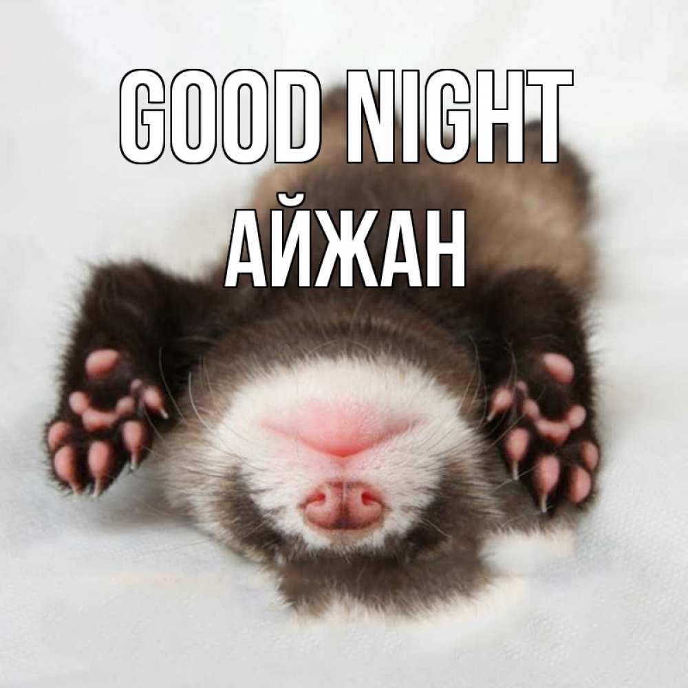 Greetings card с именем, АЙЖАН Good night зверек Greetings with text for free download 