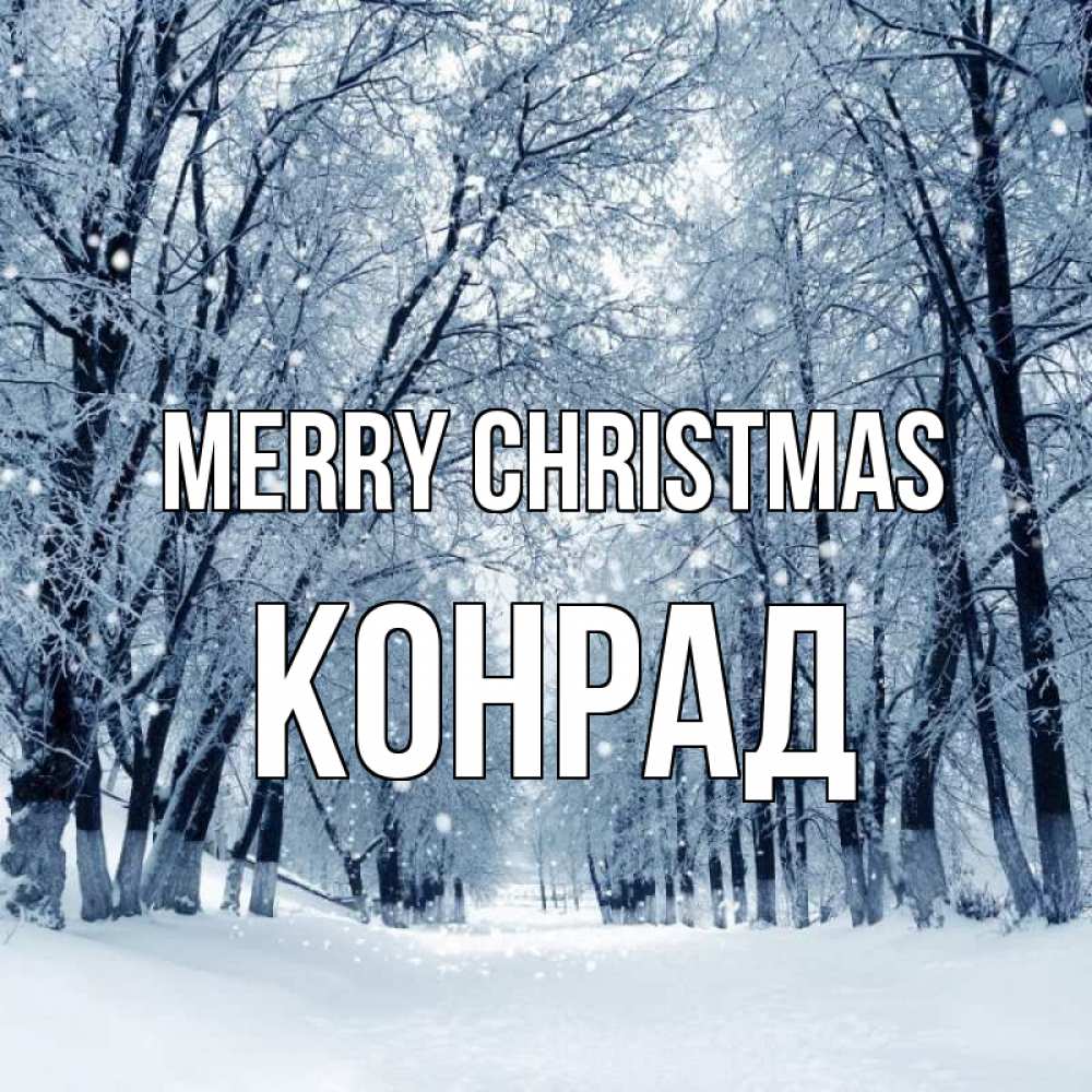 Greetings card с именем, Конрад Merry Christmas снег, лес, парк Greetings with text for free download 