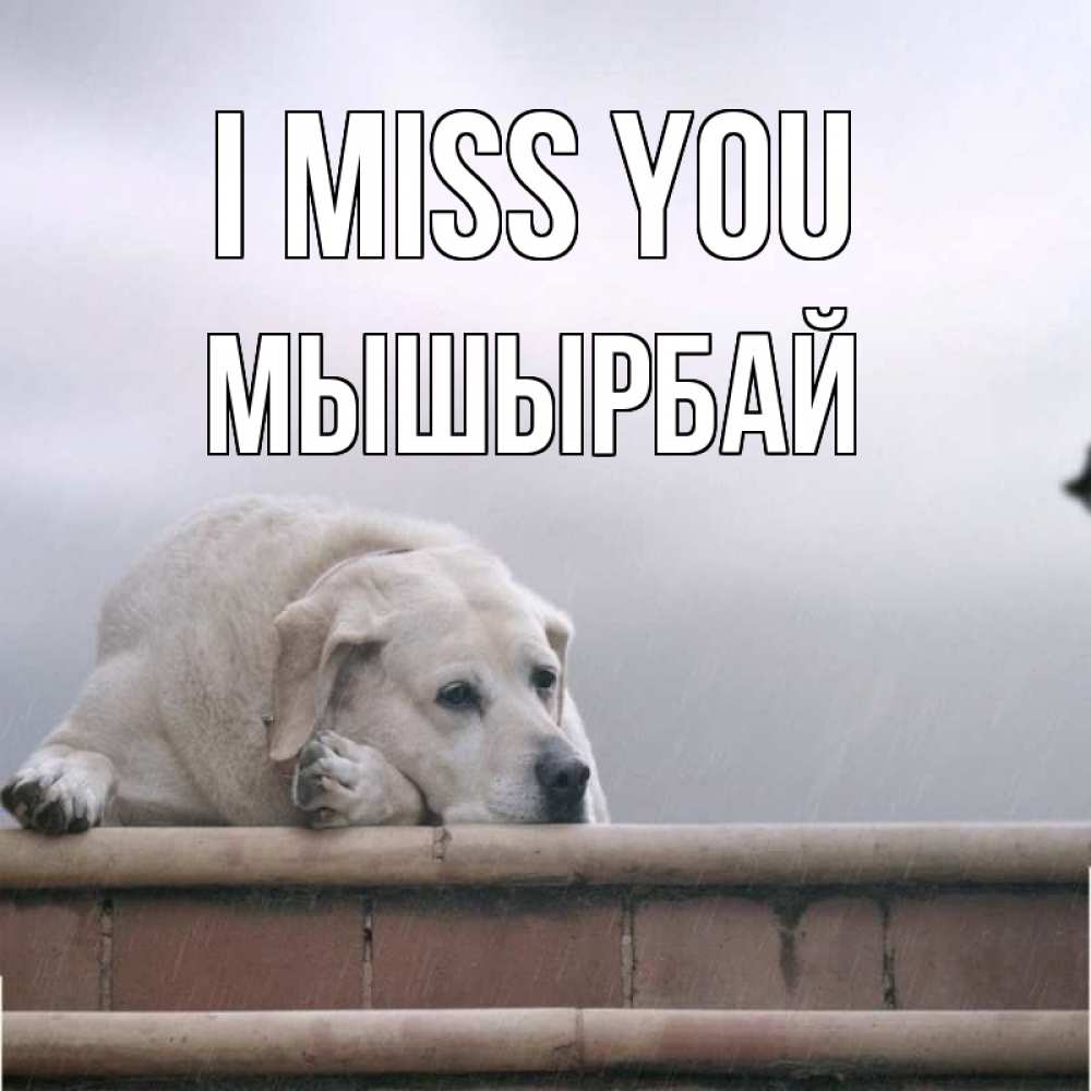 Greetings card с именем, МЫШЫРБАЙ I miss you ждет Greetings with text for free download 