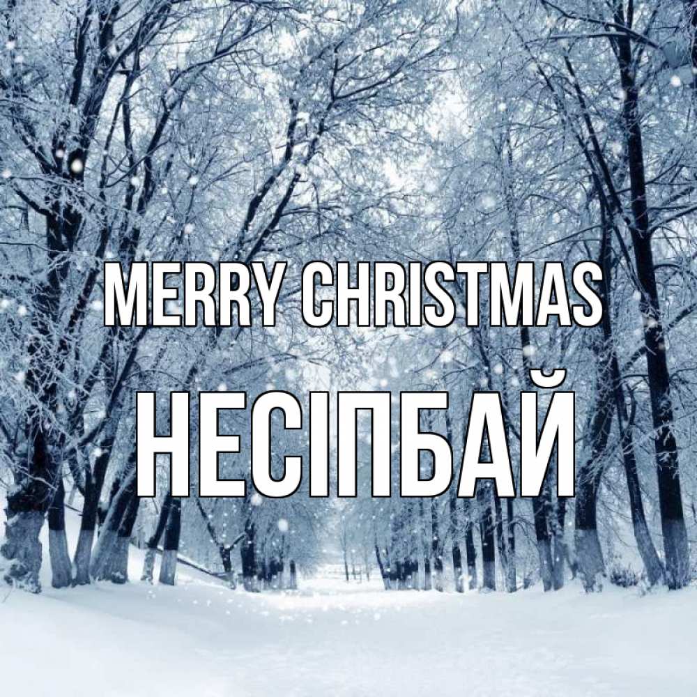 Greetings card с именем, НЕСІПБАЙ Merry Christmas снег, лес, парк Greetings with text for free download 
