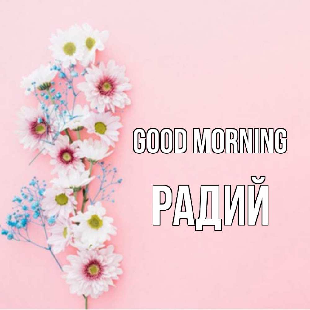 Greetings card с именем, Радий Good morning цветы с подписью Greetings with text for free download 