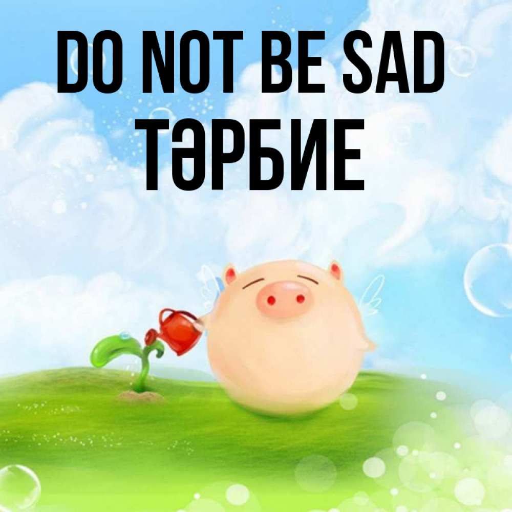 Greetings card с именем, ТӘРБИЕ Do not be sad поливает цветок порося Greetings with text for free download 