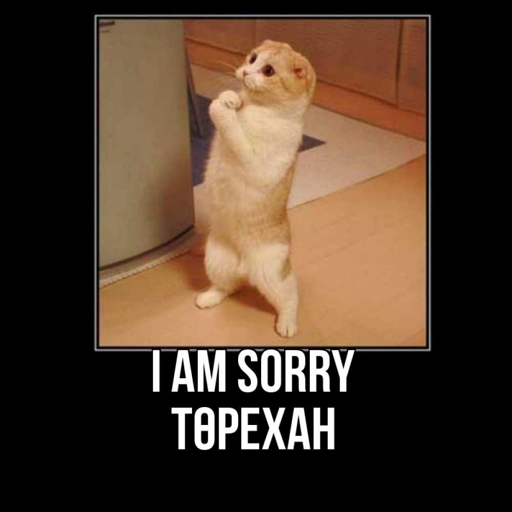 Greetings card с именем, Төрехан I am sorry открытка с милым несчастным котиком просящим прощения Greetings with text for free download 