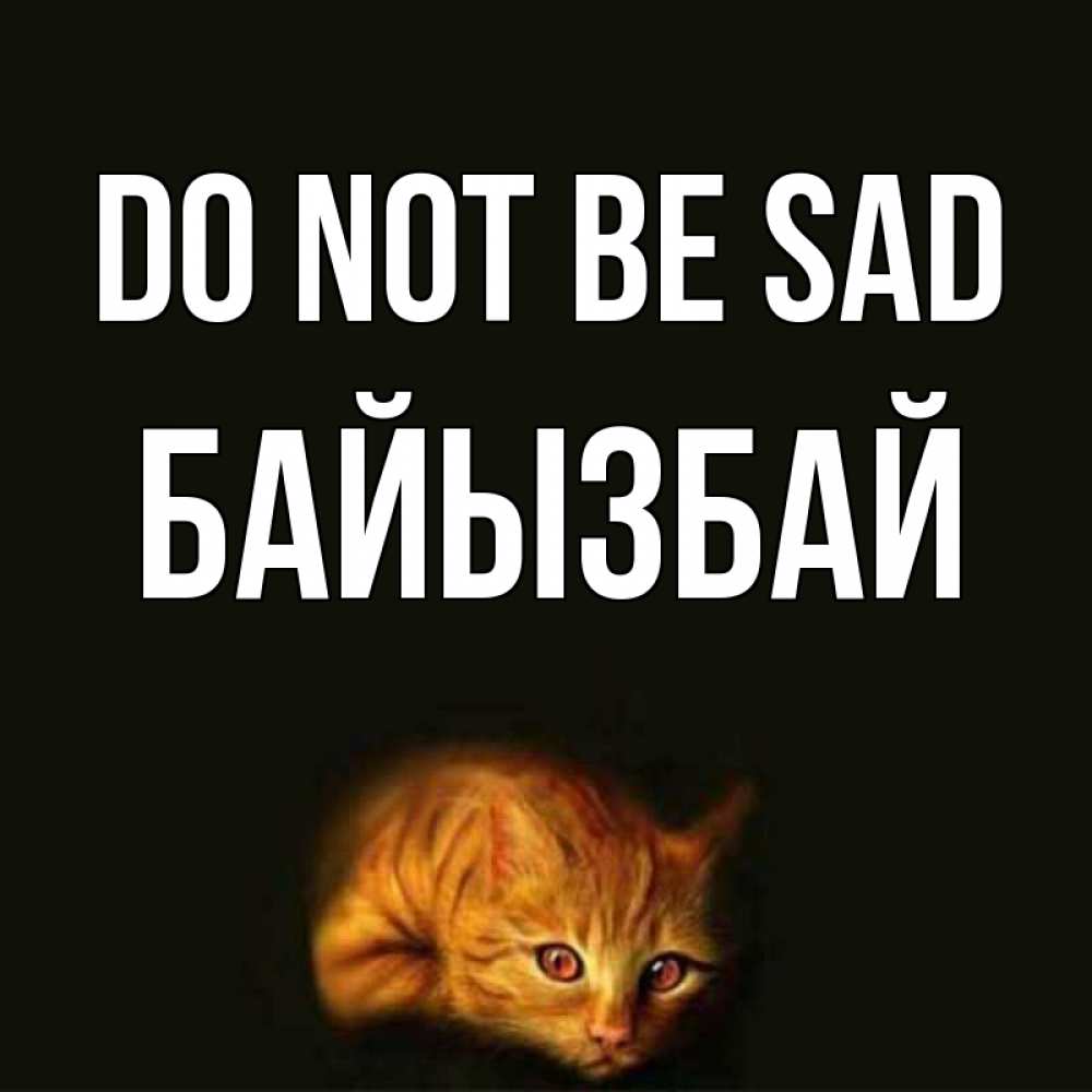 Greetings card с именем, Байызбай Do not be sad лежащий кот в темноте Greetings with text for free download 