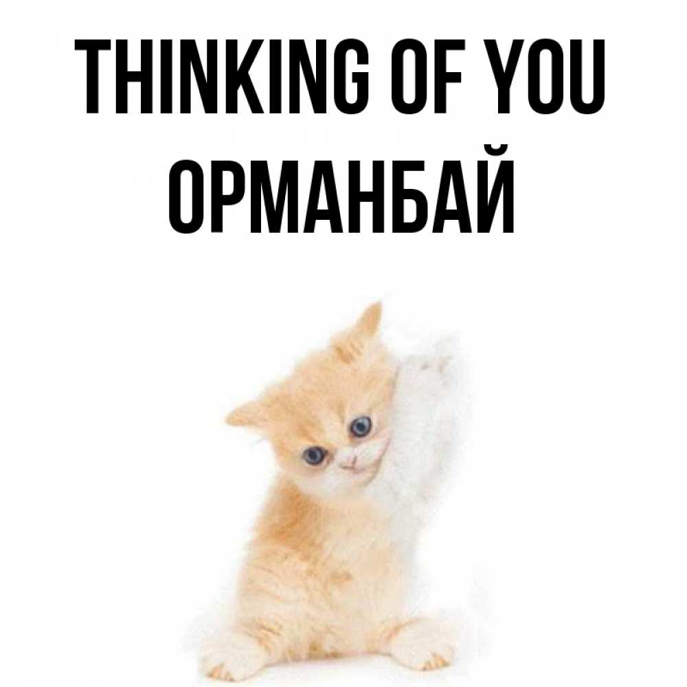 Greetings card с именем, ОРМАНБАЙ Thinking of you зверушки и милота Greetings with text for free download 