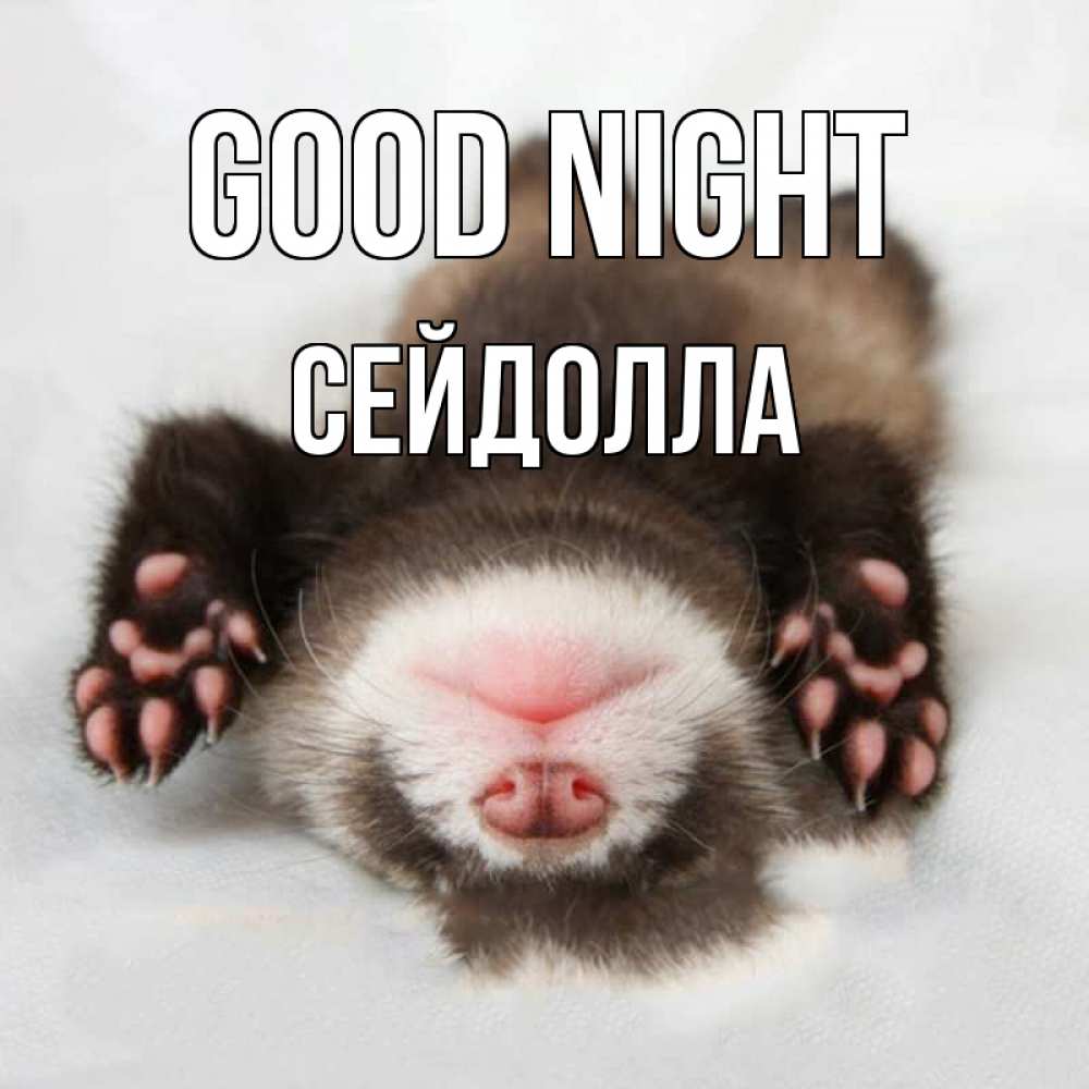 Greetings card с именем, СЕЙДОЛЛА Good night зверек Greetings with text for free download 