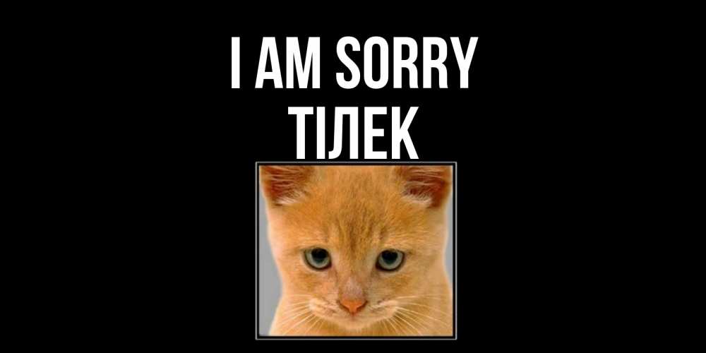 Greetings card с именем, ТІЛЕК I am sorry рыжий грустный кот просит прощения Greetings with text for free download 