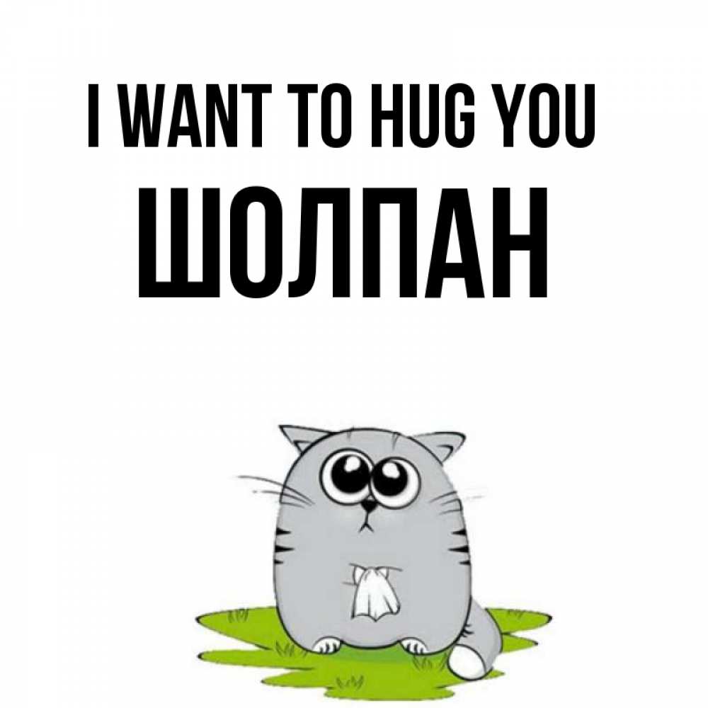 Greetings card с именем, ШОЛПАН I want to hug you котик теребит платочек сидя на травке Greetings with text for free download 