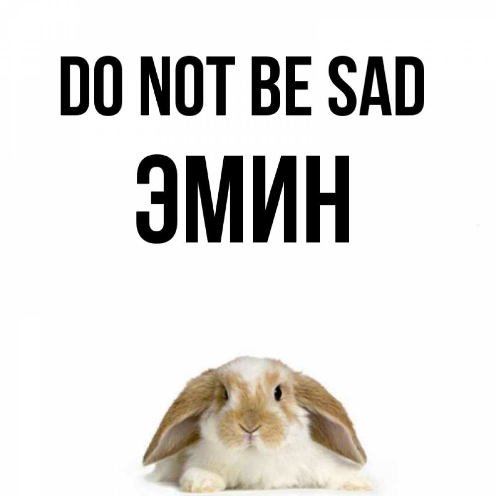 Greetings card с именем, Эмин Do not be sad коричнево белый заяц с большими ушками Greetings with text for free download 