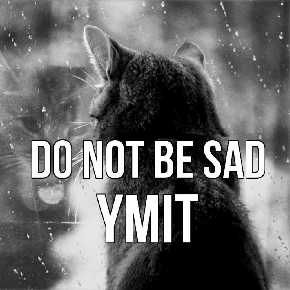 Greetings card с именем, ҮМІТ Do not be sad отражение кота 1 Greetings with text for free download 