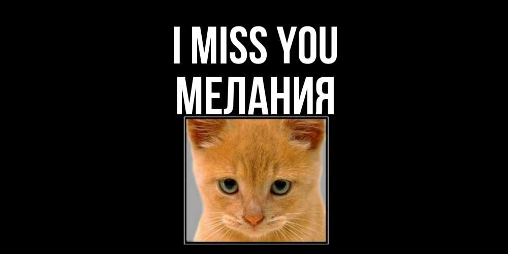 Greetings card с именем, Мелания I miss you открытки рыжий котенок скучает по тебе Greetings with text for free download 
