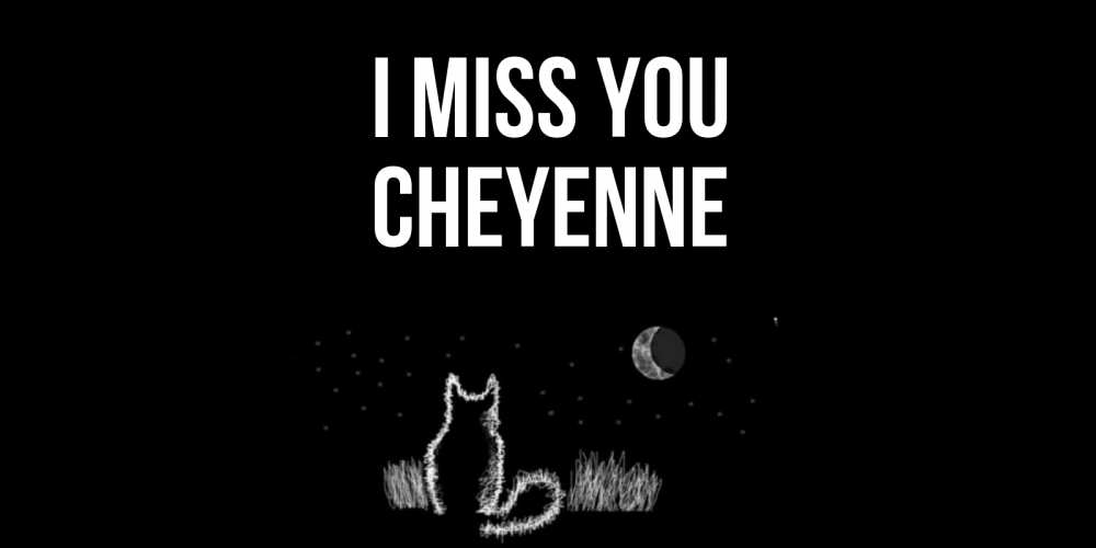 Greetings card с именем, Cheyenne I miss you кот Greetings with text for free download 