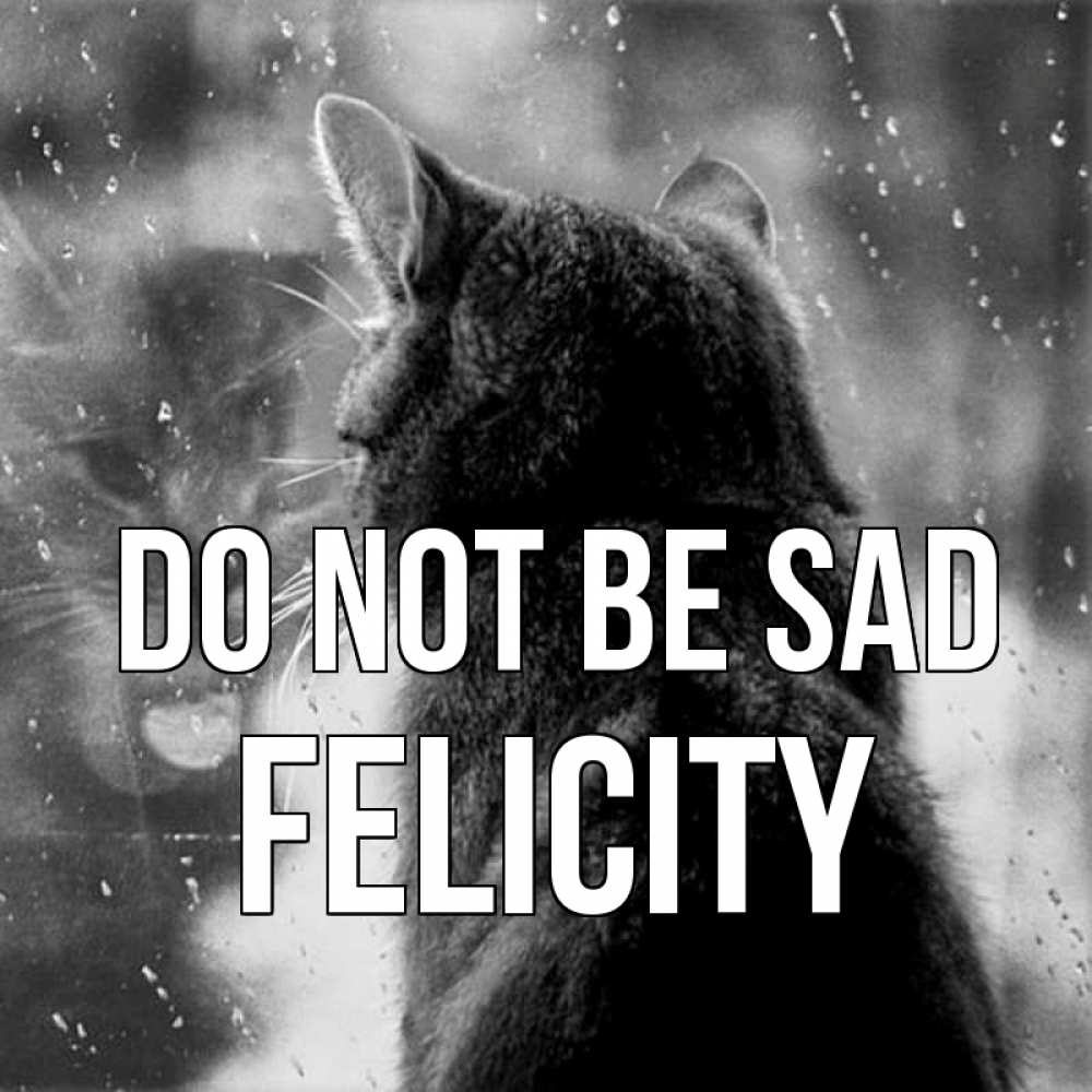 Greetings card с именем, Felicity Do not be sad отражение кота 1 Greetings with text for free download 